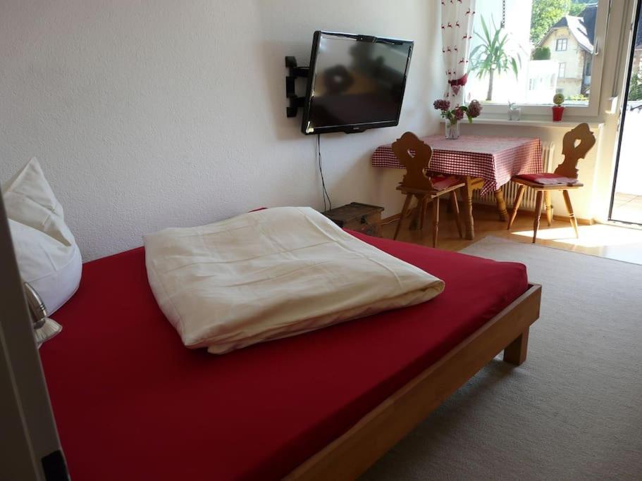 Kleine Feine Wohnung In Toplage Блуденц Екстериор снимка